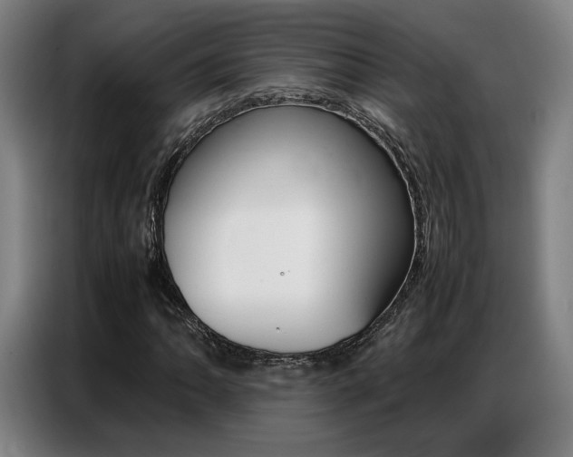 X0000087361062200704200821