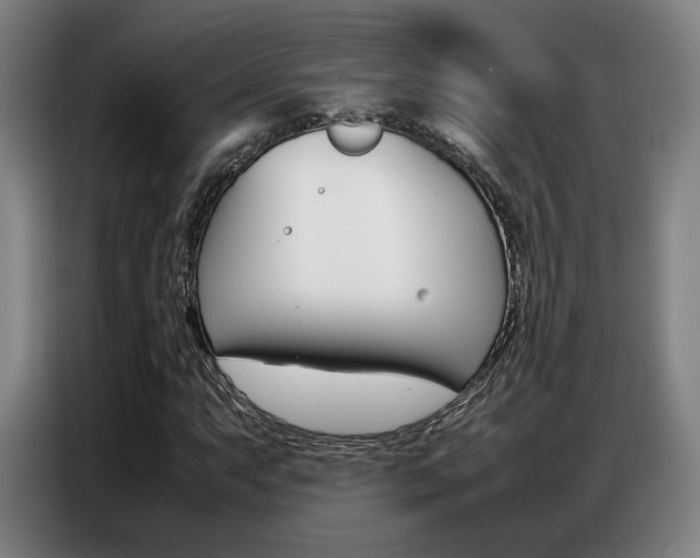 X0000087361063200704200821