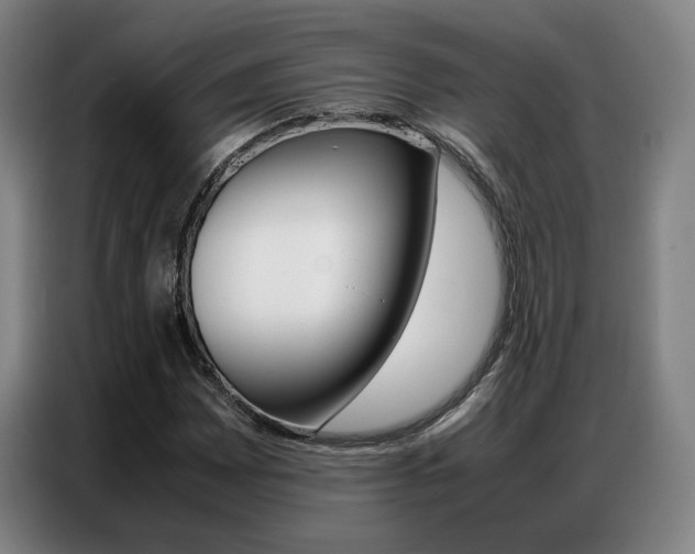X0000087361065200704200821