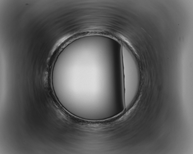 X0000087361066200704200821