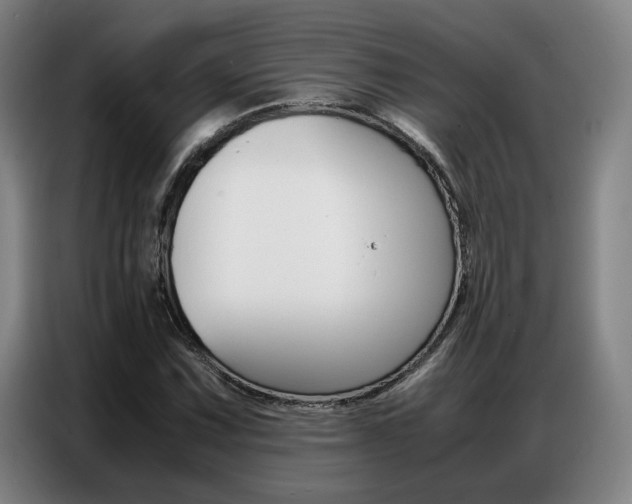 X0000087361067200704200821