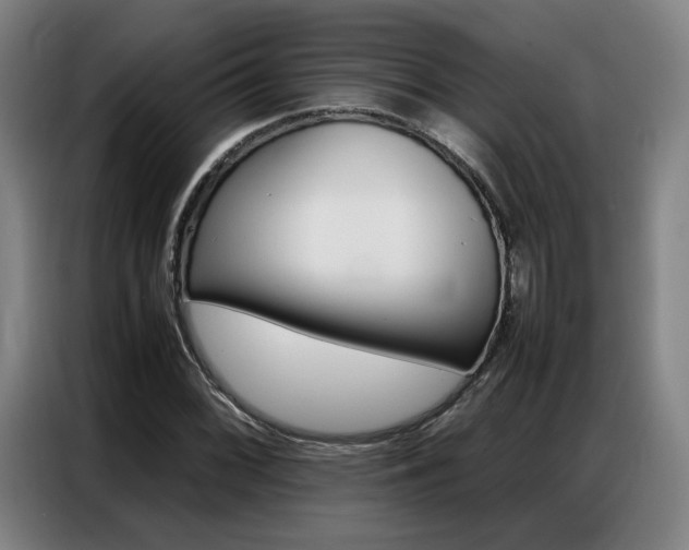 X0000087361068200704200821