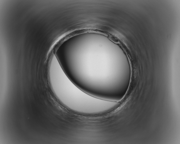 X0000087361069200704200821