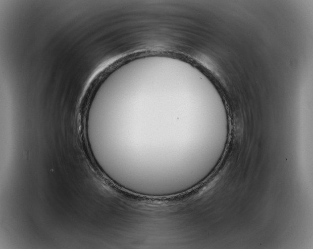 X0000087361070200704200821