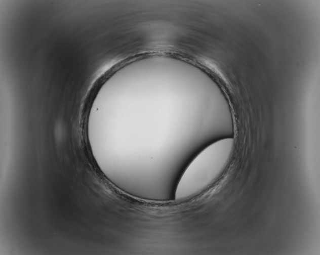 X0000087361071200704200821
