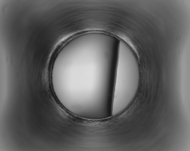 X0000087361072200704200821