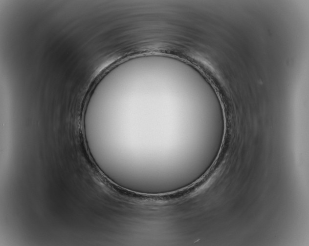 X0000087361073200704200821