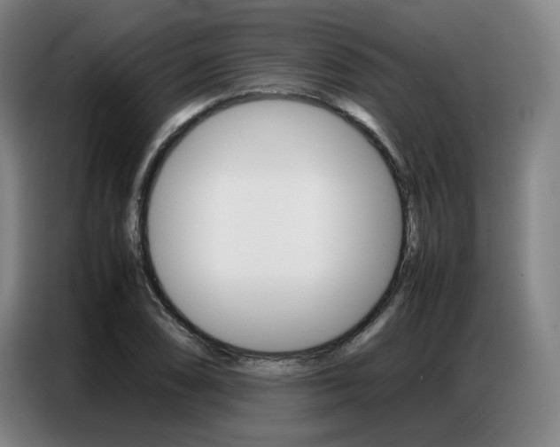 X0000087361074200704200821