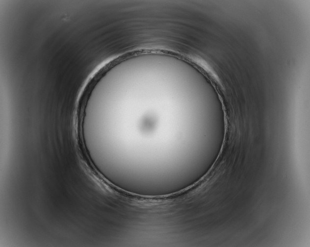 X0000087361076200704200821
