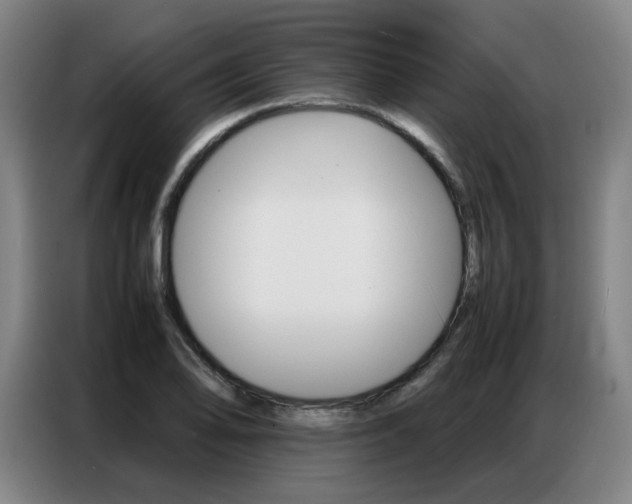 X0000087361078200704200821