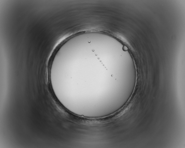 X0000087361079200704200821