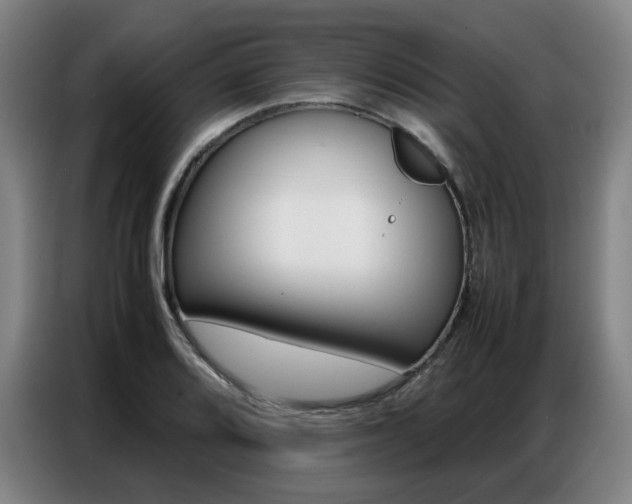 X0000087361080200704200821