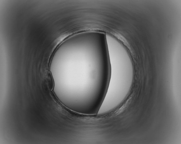 X0000087361081200704200821