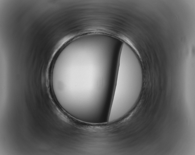 X0000087361082200704200821