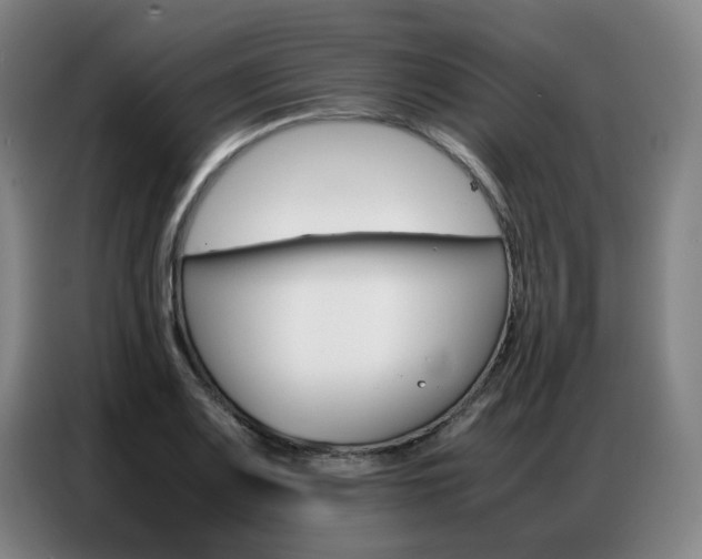 X0000087361083200704200821