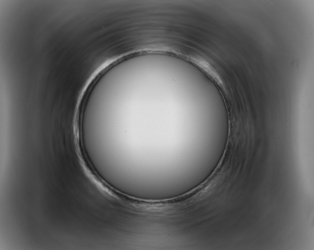 X0000087361084200704200821