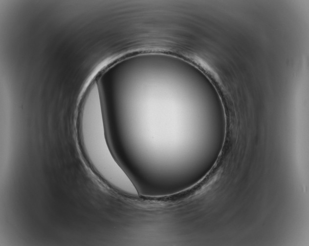X0000087361085200704200821
