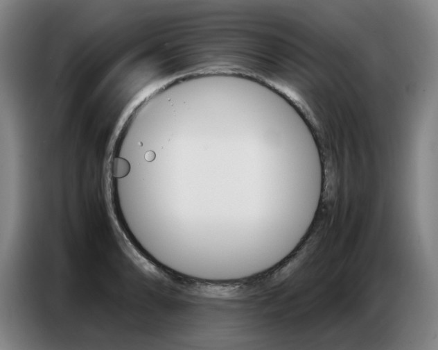 X0000087361086200704200820