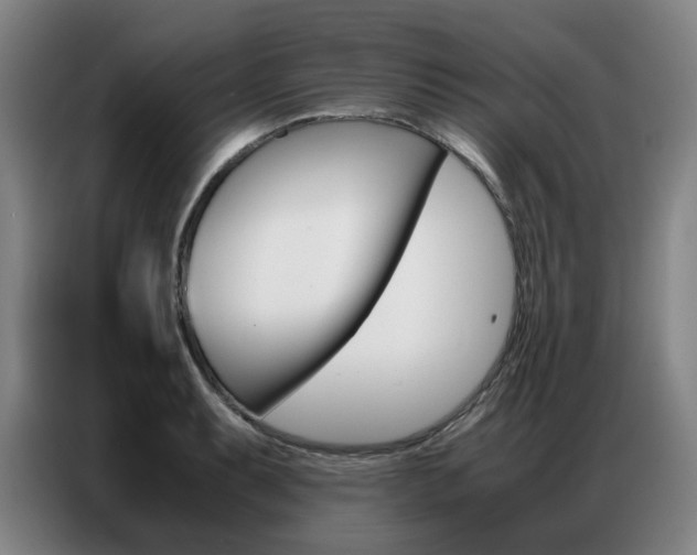 X0000087361087200704200820