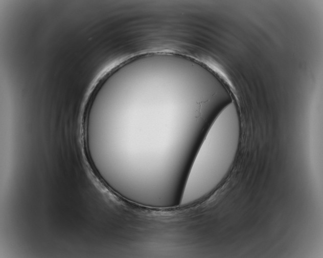 X0000087361088200704200820