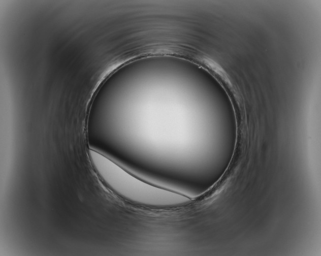 X0000087361089200704200820