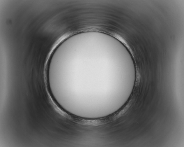 X0000087361090200704200820