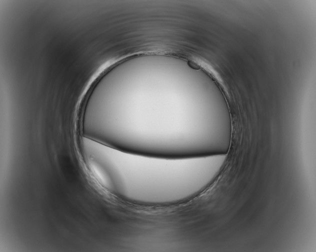 X0000087361091200704200820