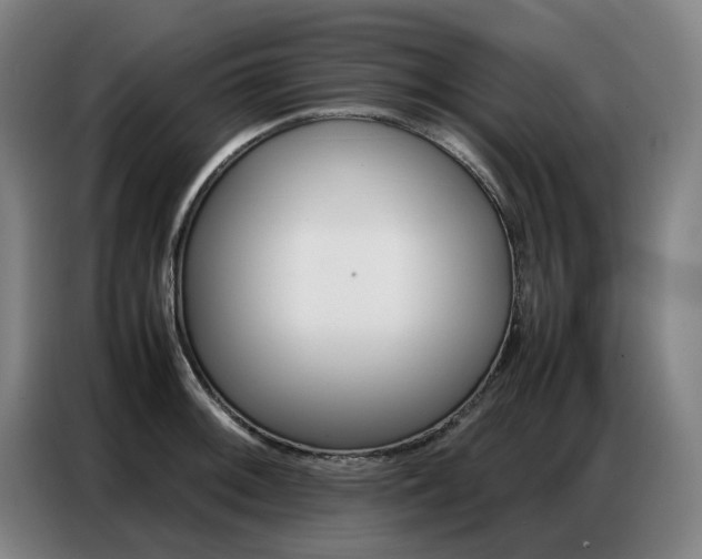 X0000087361092200704200820