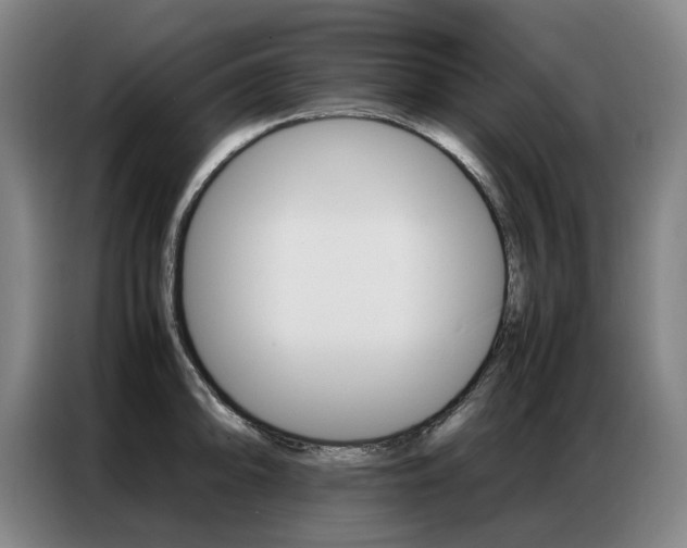 X0000087361094200704200820
