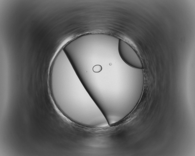 X0000087361095200704200820