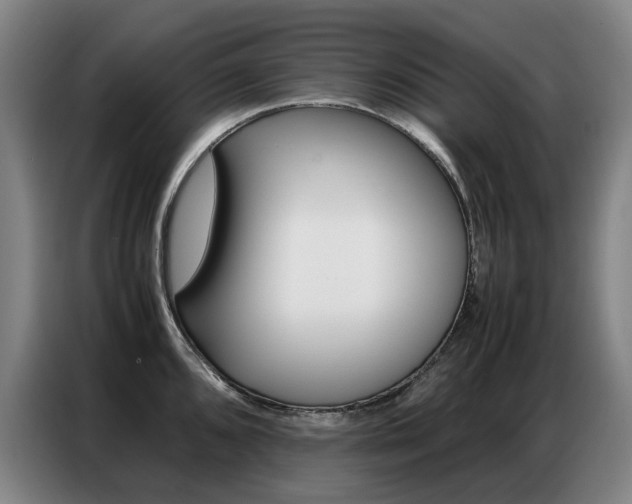 X0000087361096200704200820