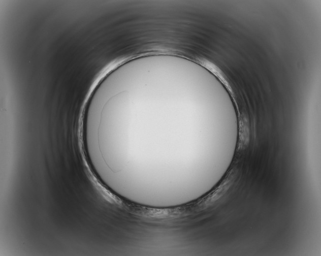 X0000087361098200704200820