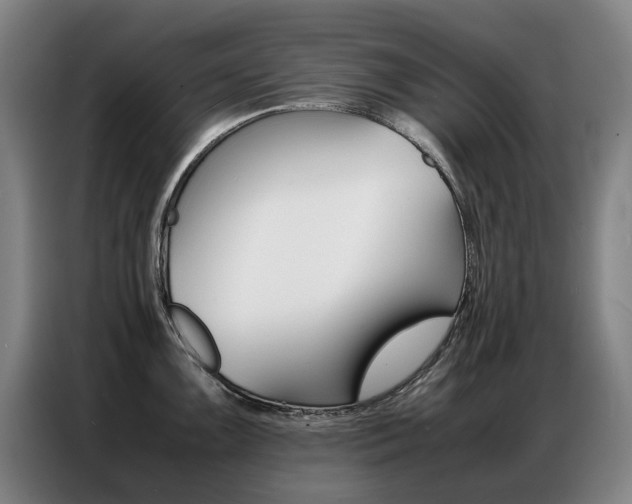X0000087361099200704200820