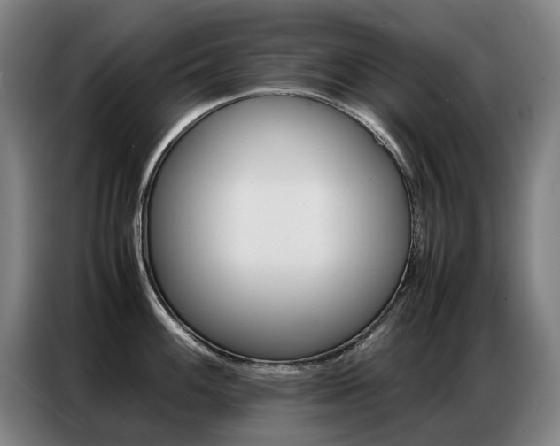 X0000087361100200704200820
