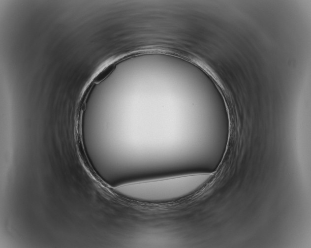 X0000087361101200704200820