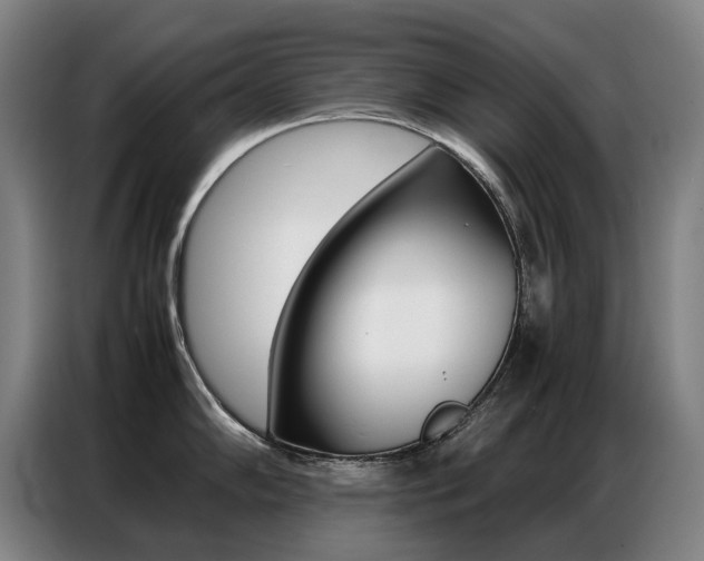 X0000087361102200704200820