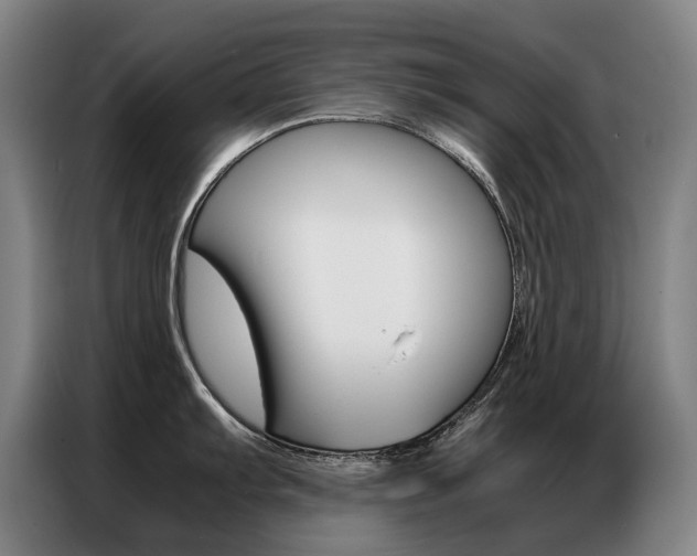 X0000087361103200704200820