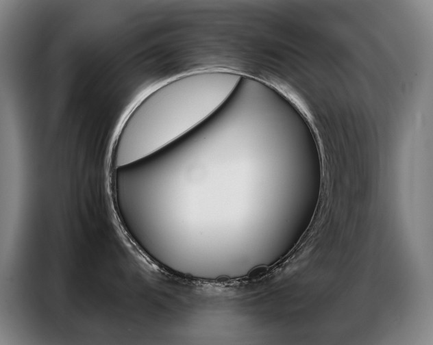 X0000087361104200704200820