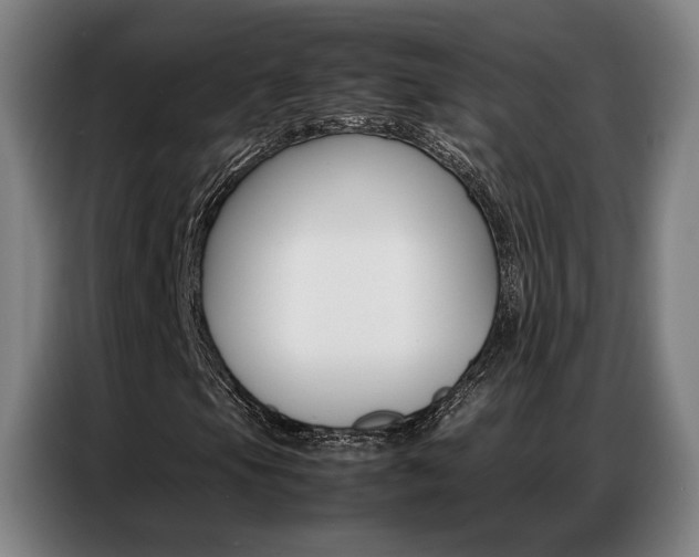 X0000087361105200704200820