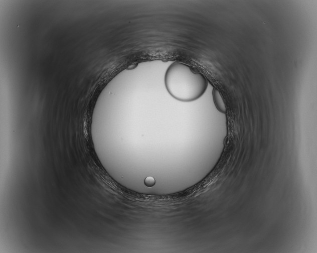 X0000087361106200704200820