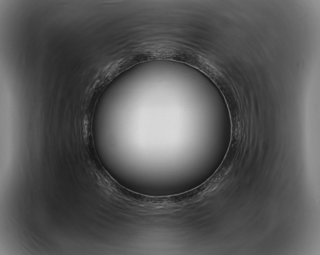 X0000087361108200704200820