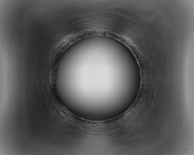 X0000087361110200704200820