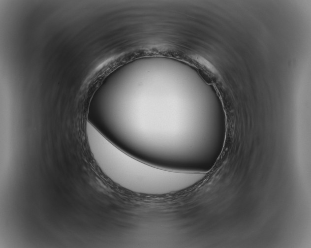 X0000087361112200704200820