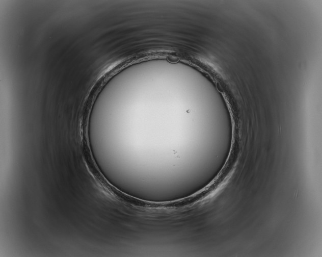 X0000087361113200704200820