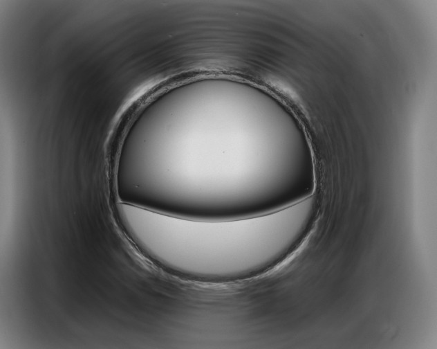 X0000087361114200704200820