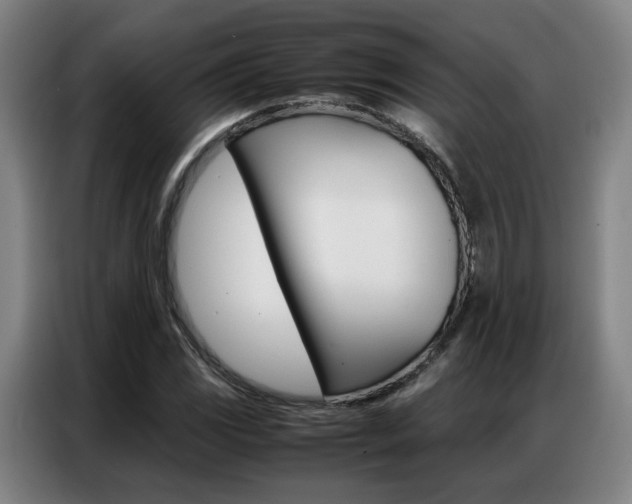 X0000087361117200704200820