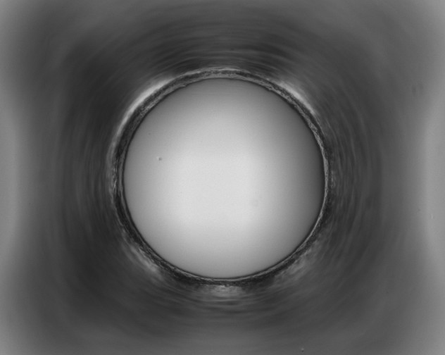 X0000087361119200704200820
