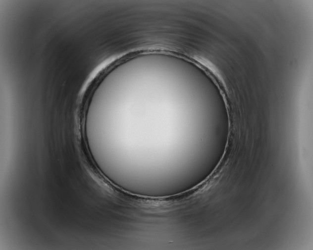 X0000087361120200704200820