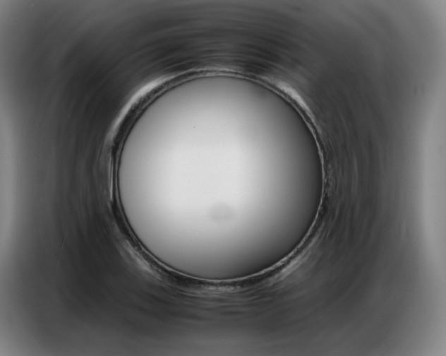 X0000087361123200704200820