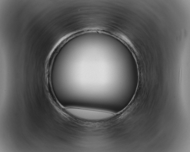 X0000087361124200704200820